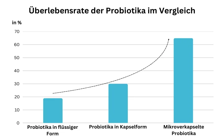 Überlebensrate der Probiotika im Vergleich
