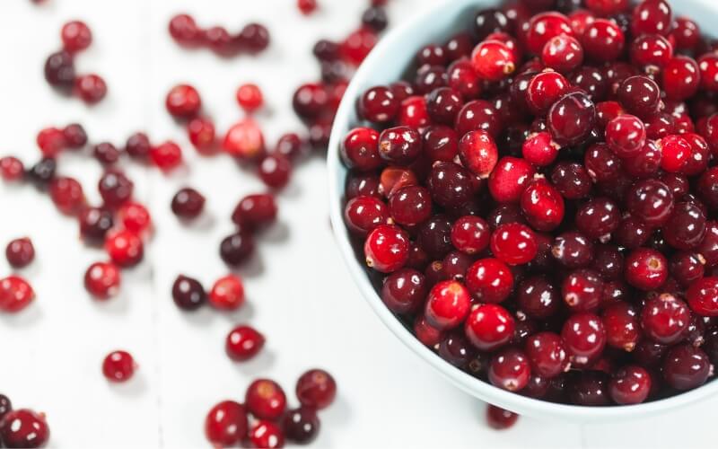 Frische Cranberries in einer weißen Schale auf einem Holztisch