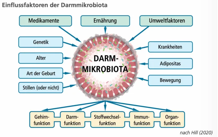 Einflussfaktoren der Darmmikrobiota
