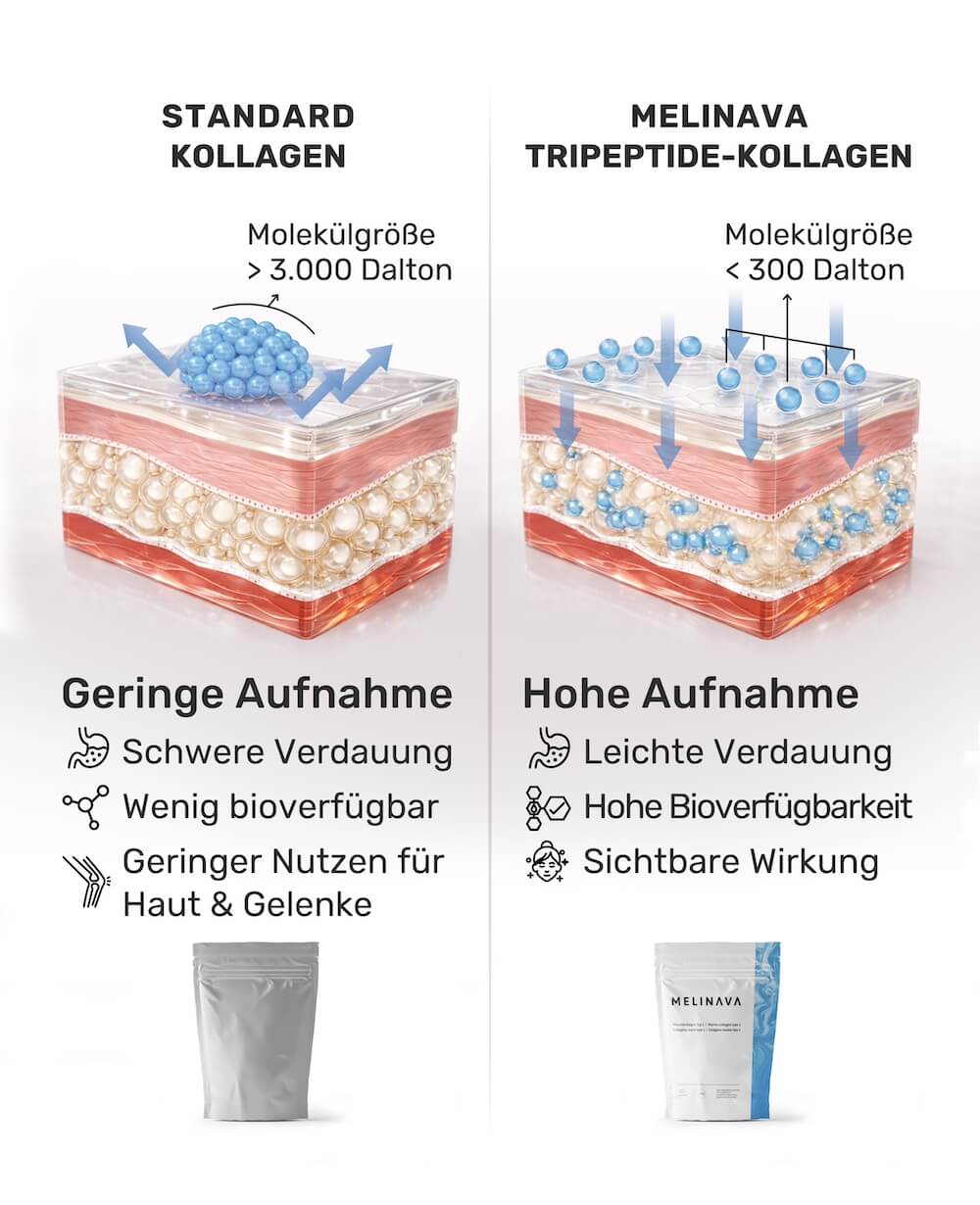 Grafik: Standard-Kollagen über 3.000 Dalton mit geringer Aufnahme gegenüber Melinava Tripeptiden unter 300 Dalton mit hoher Aufnahme
