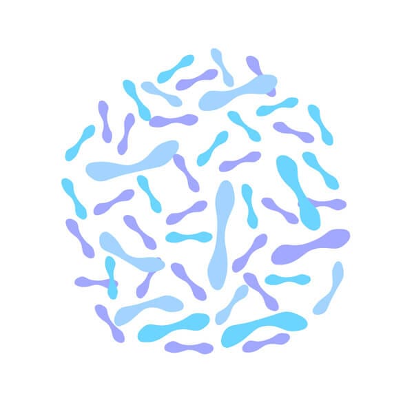 Illustration verzweigter Bifidobacterium-Bakterien in Blautönen