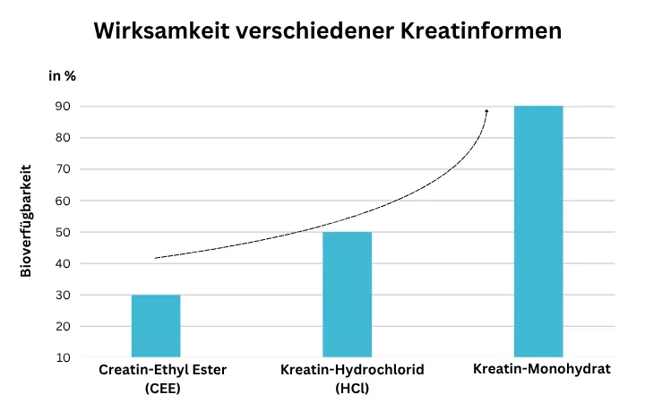 Wirksamkeit verschiedener Kreatinformen