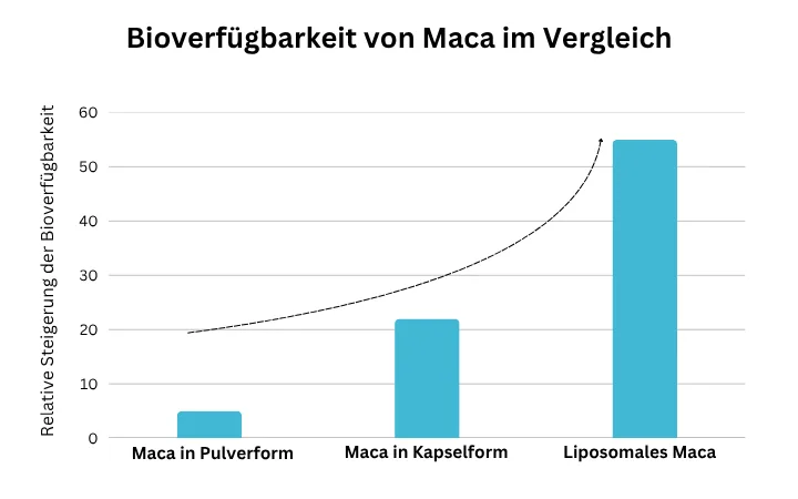 Bioverfügbarkeit von Maca im Vergleich