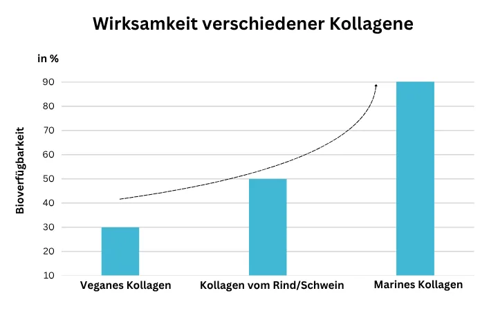 Wirksamkeit verschiedener Kollagene