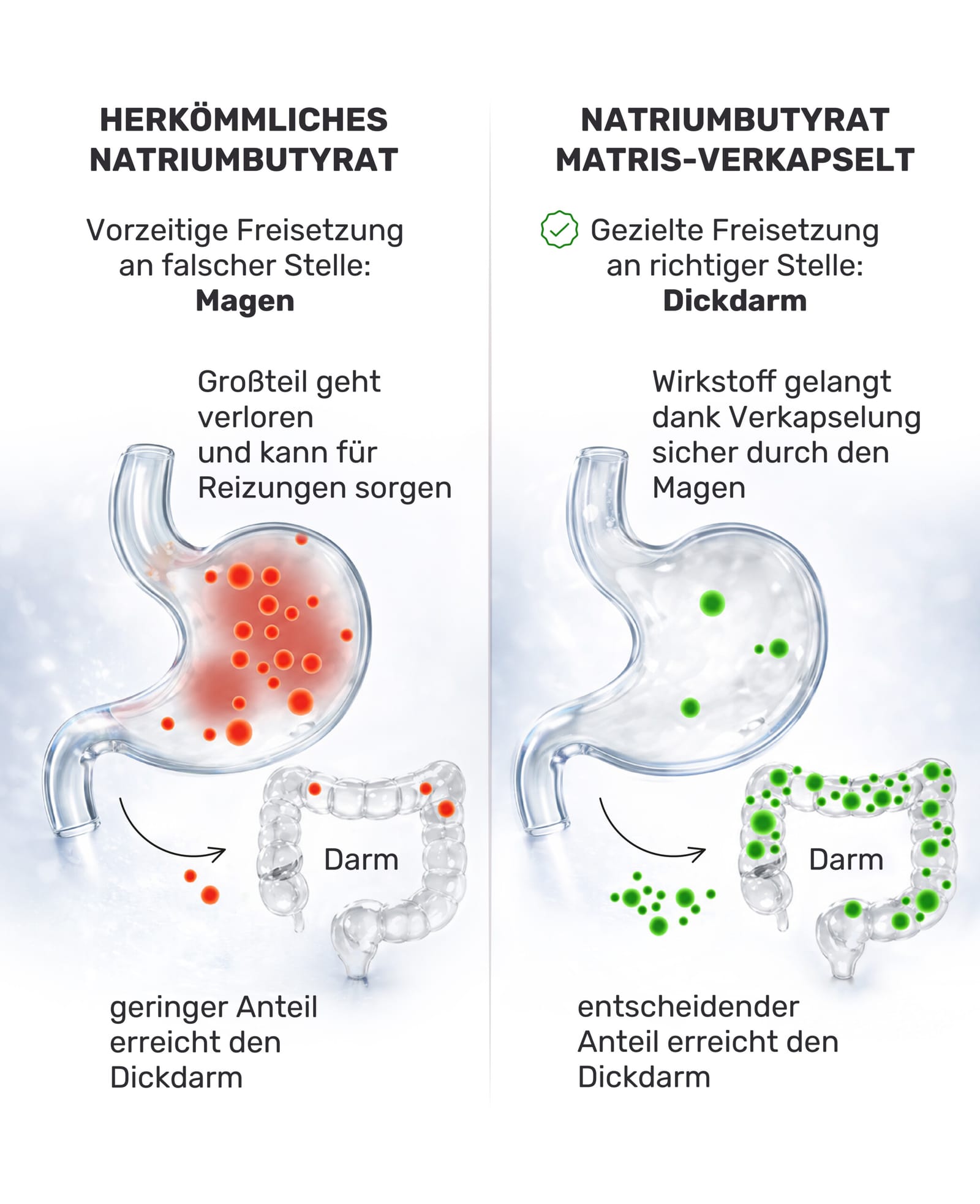 Herkömmliches Natriumbutyrat vs. Natriumbutyrat MATRIS-verkapselt