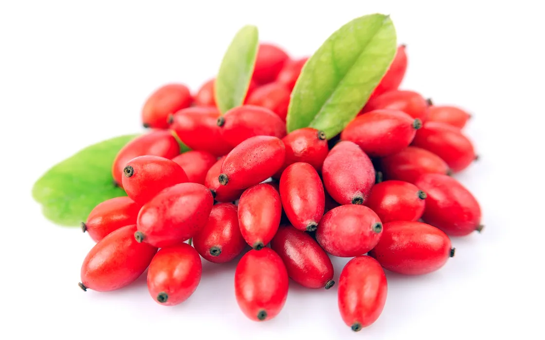 Reife rote Berberitzenbeeren mit grünen Blättern