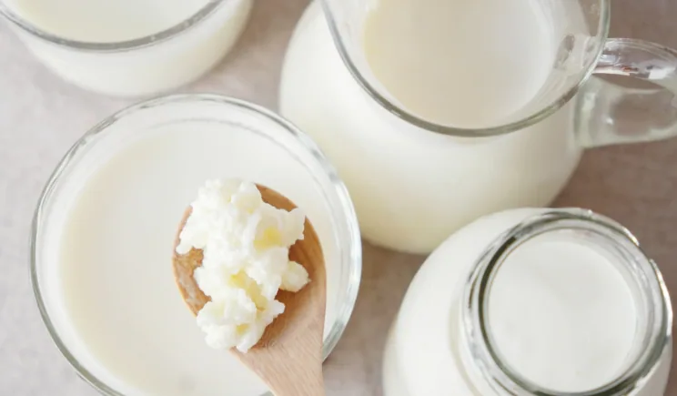 Kefir in Gläsern und einer Karaffe, Kefirknollen auf einem Holzlöffel